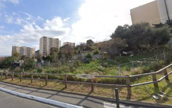 Jardin des Néréïdes / Bosquet