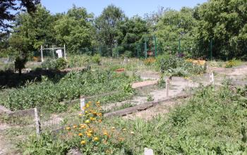 Jardin partagé La valbarelle