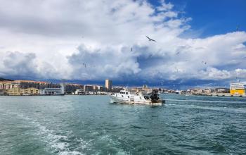 Sete