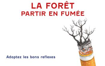 incendie cigarettes