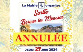 La sortie à Bormes les Mimosas 