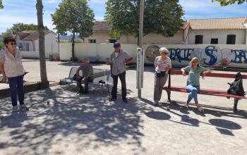 tournoi de pétanque