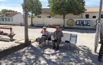 tournoi de pétanque