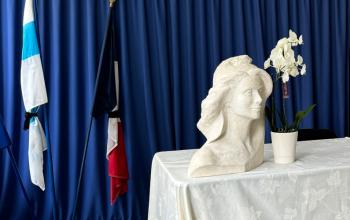 Conseil d'arrondissements