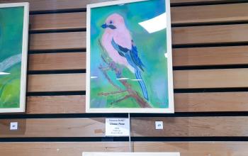 Retour en images sur le vernissage de l'exposition "ESPACES"