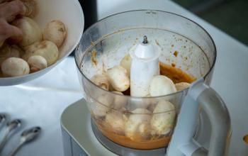 Retour en images sur la Journée de la Femme 2026