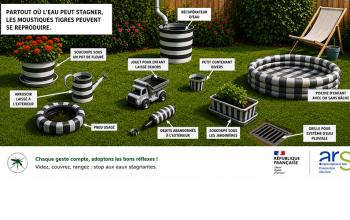 Un cas de dengue détecté sur notre secteur
