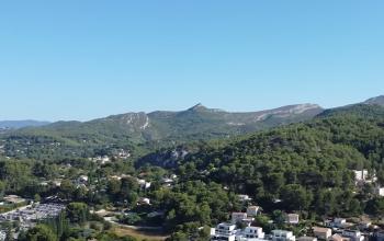 Massif forestier